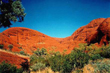 Outback picture